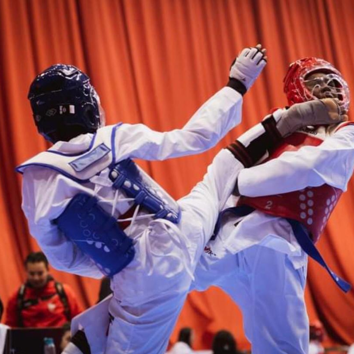 Liste Des Champions De France De Taekwondo