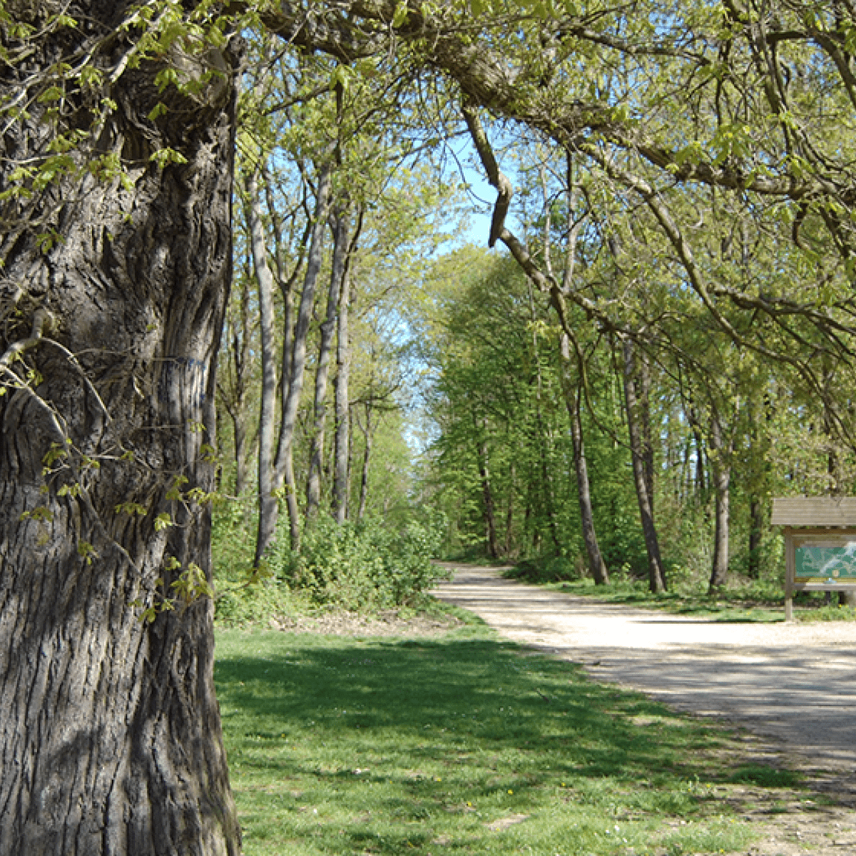 Espaces Verts Ville De Clamart