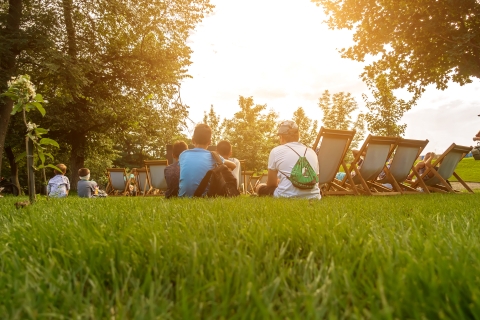 cinéma en plein air